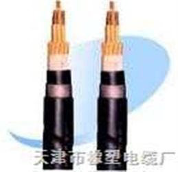 RVZ與RVZ電力電纜 規(guī)格、特點(diǎn)與應(yīng)用全解析