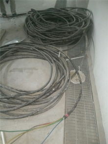 廣州展華 專業(yè)電纜回收，助力番禺區(qū)環(huán)保與資源再利用